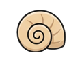 Shell illustration