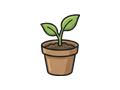 Seedling illustration