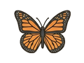 Butterfly illustration