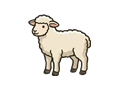 Lamb illustration