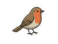 Bird illustration