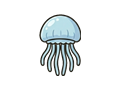 Jellyfish illustration