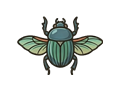 Scarab illustration