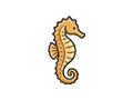 Seahorse illustration