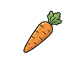 Carrot illustration