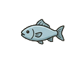 Fish illustration