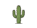 Cactus illustration