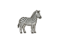 Zebra illustration