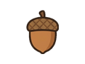 Acorn illustration