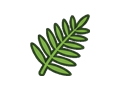 Fern illustration