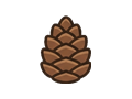 Pinecone illustration
