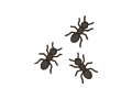 Ants illustration