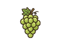 Grapes illustration