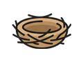 Bird nest illustration