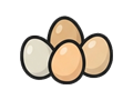 Eggs illustration