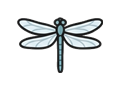 Dragonfly illustration
