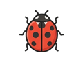 Ladybug illustration