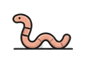 Worm illustration