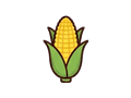 Corn cob illustration