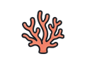 Coral illustration