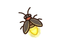 Firefly illustration