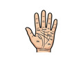 Palm diagram illustration