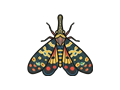 Moth illustration