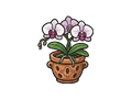 Orchid illustration