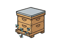 Hive box illustration