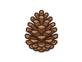 Pinecone illustration
