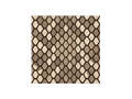 Snake skin illustration