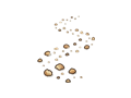 Crumb trail illustration