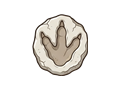 Footprint cast illustration