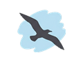 Gull silhouette illustration