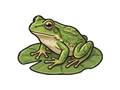 Frog illustration