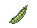 Pea pod illustration