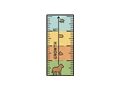 Growth chart illustration